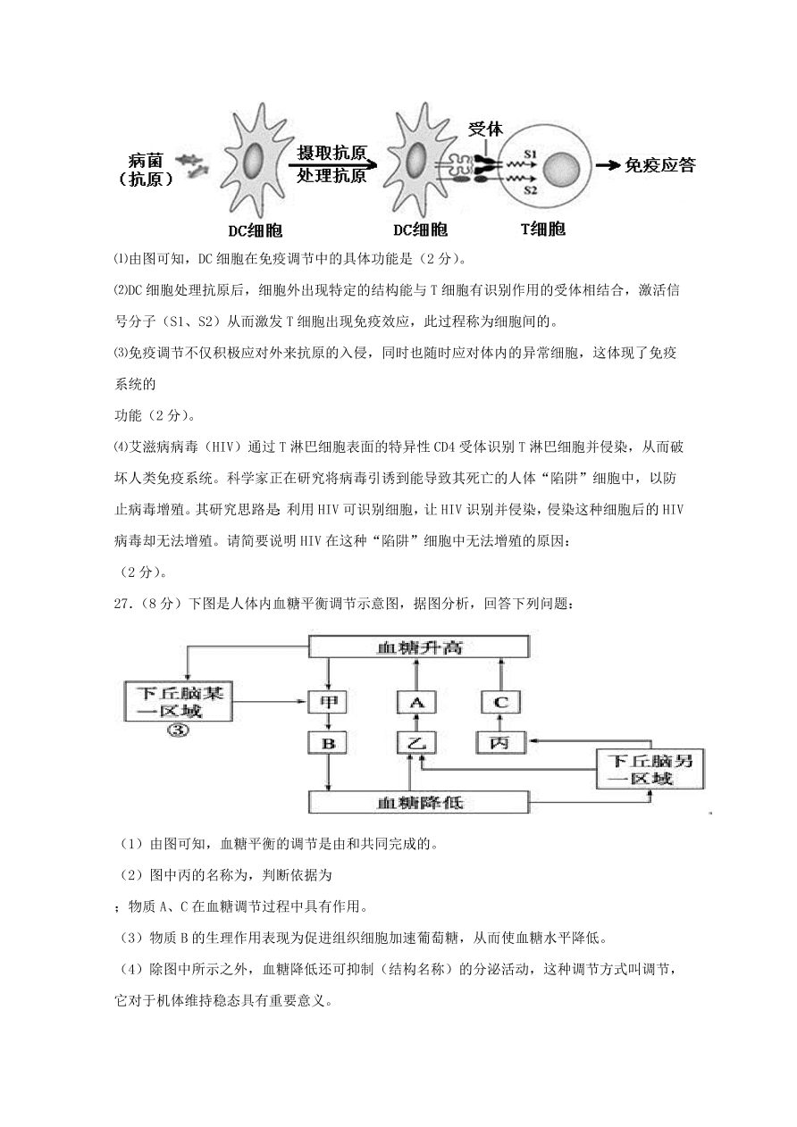 江苏省南京市2020-2021高二生物上学期期中试卷（附答案Word版）