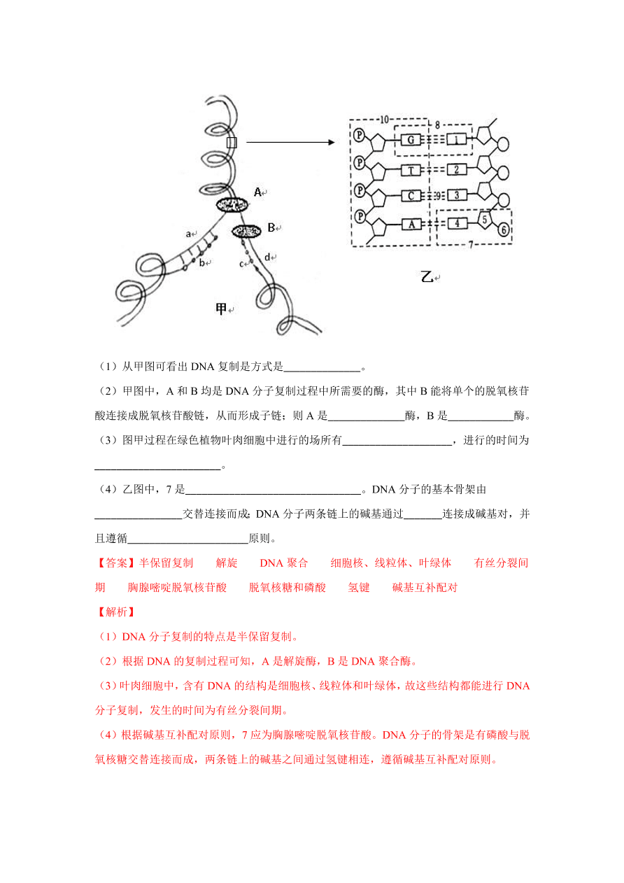 2020-2021学年高三生物一轮复习专题18 DNA的结构、复制及基因的本质（练）