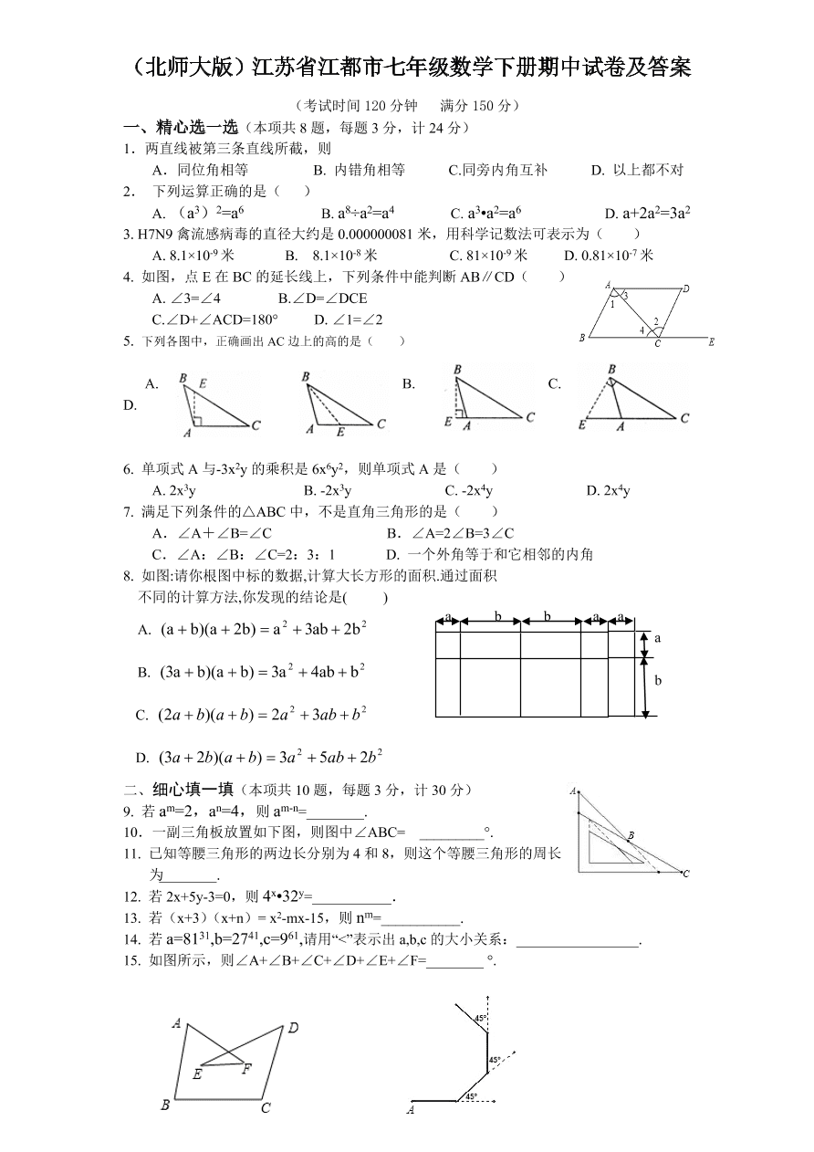 （北师大版）江苏省江都市七年级数学下册期中试卷及答案