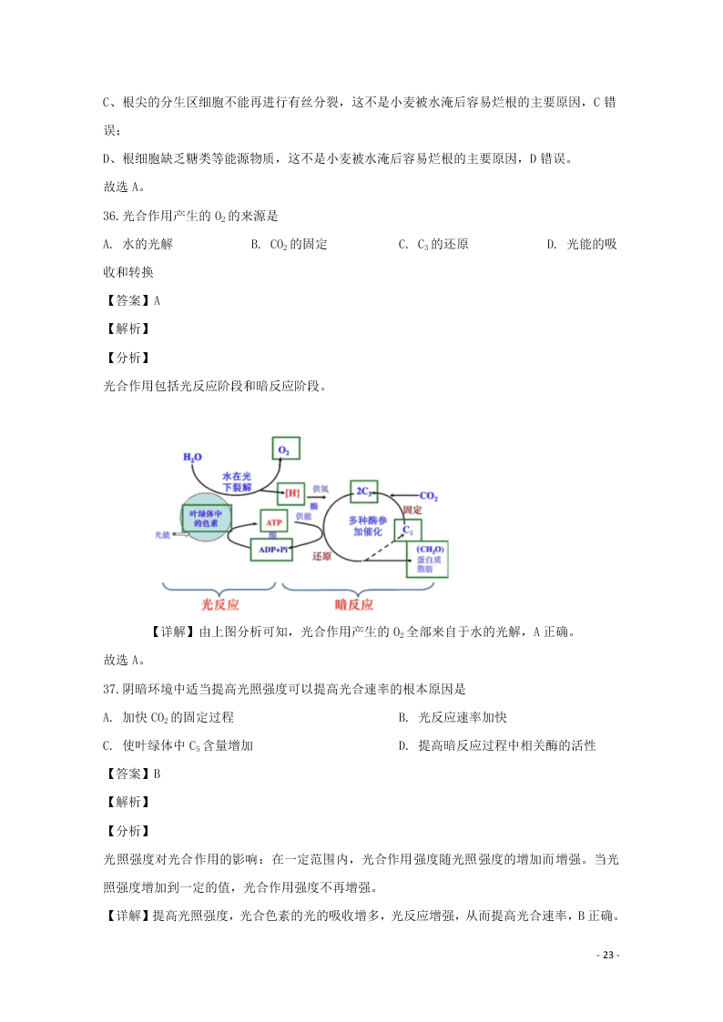 河北省邢台市2020学年高一生物上学期期末考试试题（含解析）