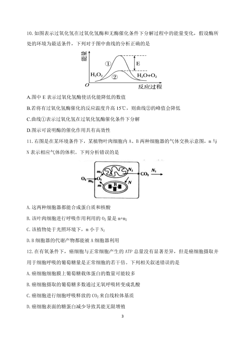 云南省玉溪一中2021届高三生物上学期第二次月考试题（Word版附答案）