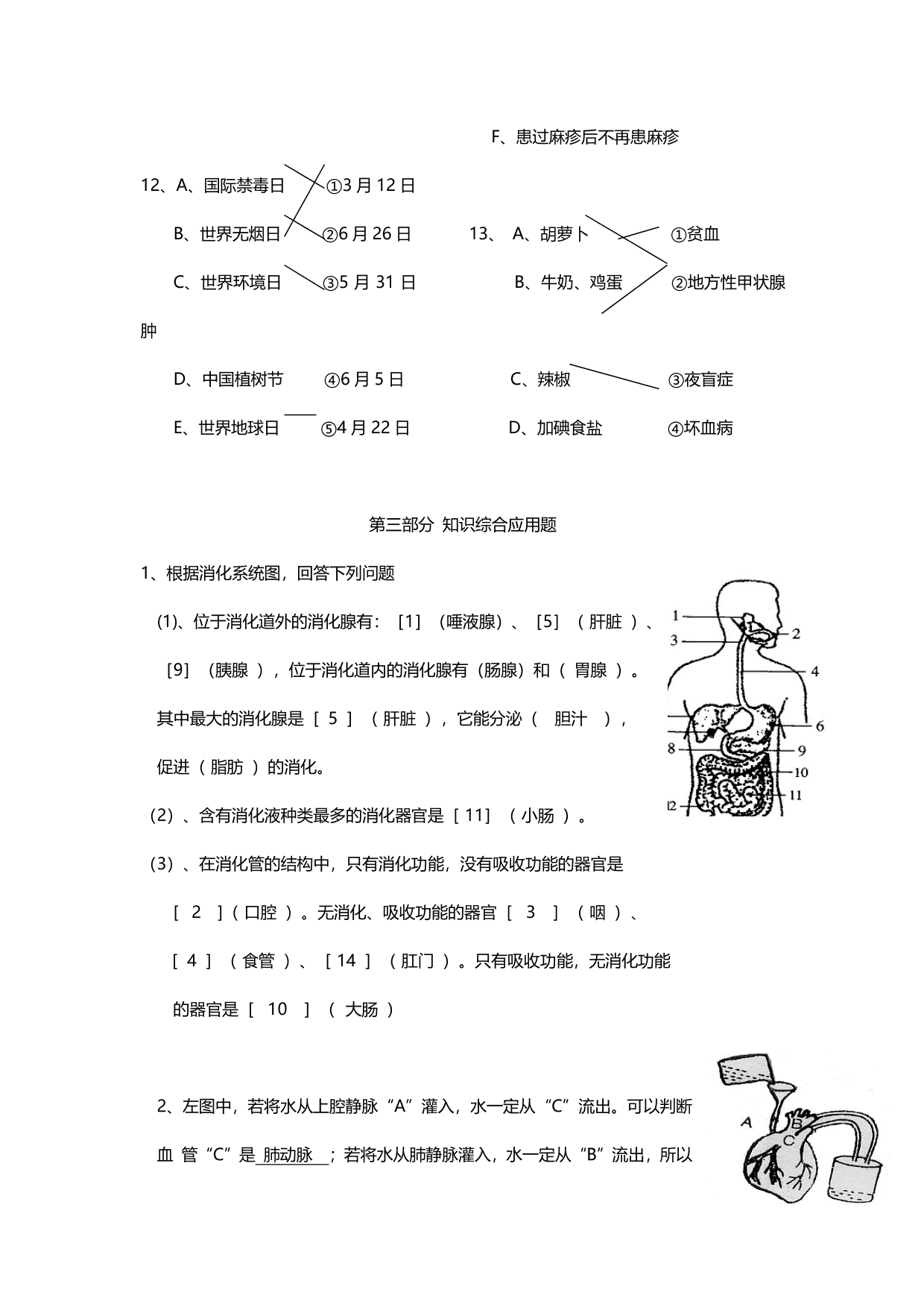 暑期预习衔接2020初一上学期生物全册知识点总结（pdf版）