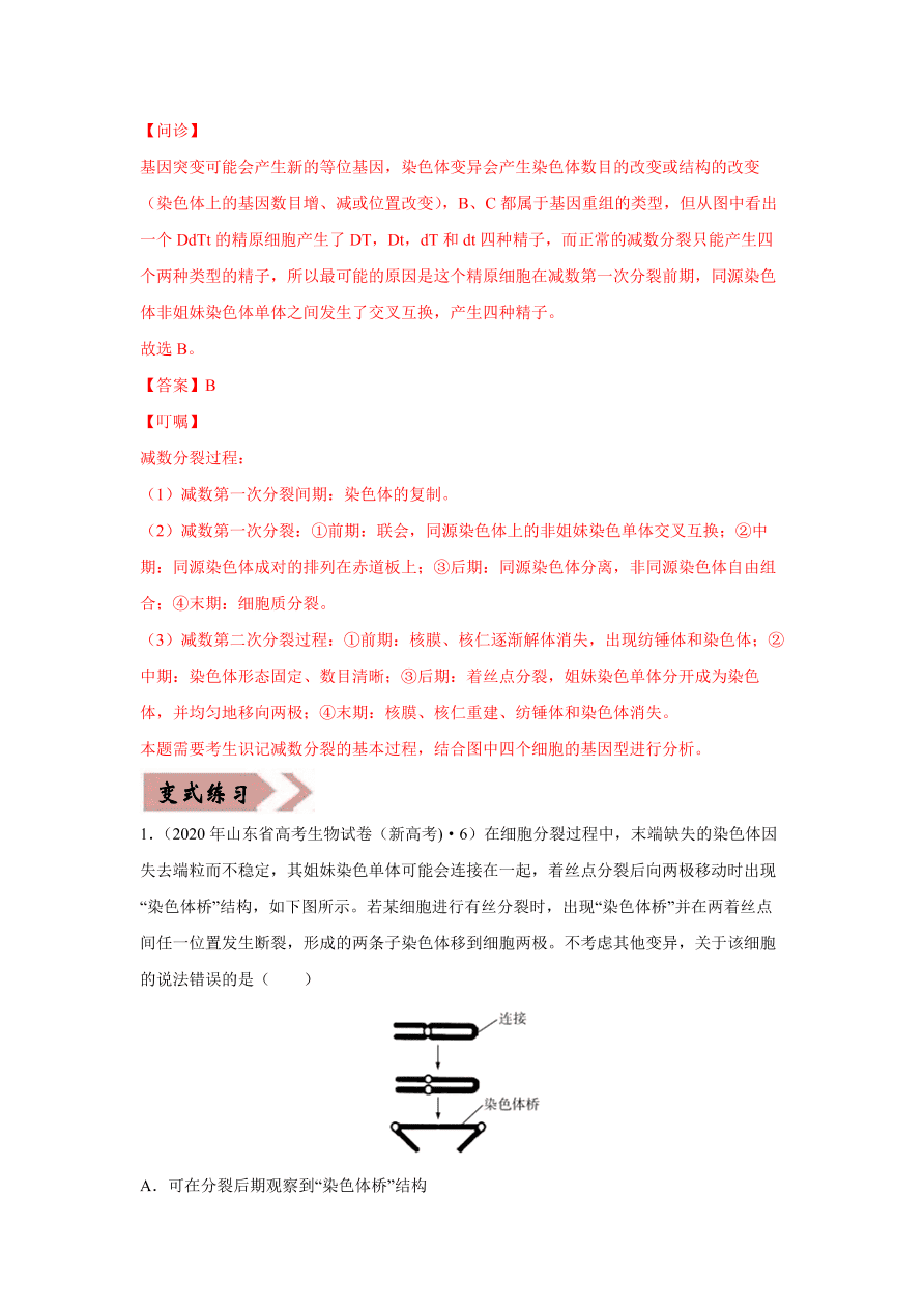 2020-2021学年高三生物一轮复习易错题08 生物的变异与育种