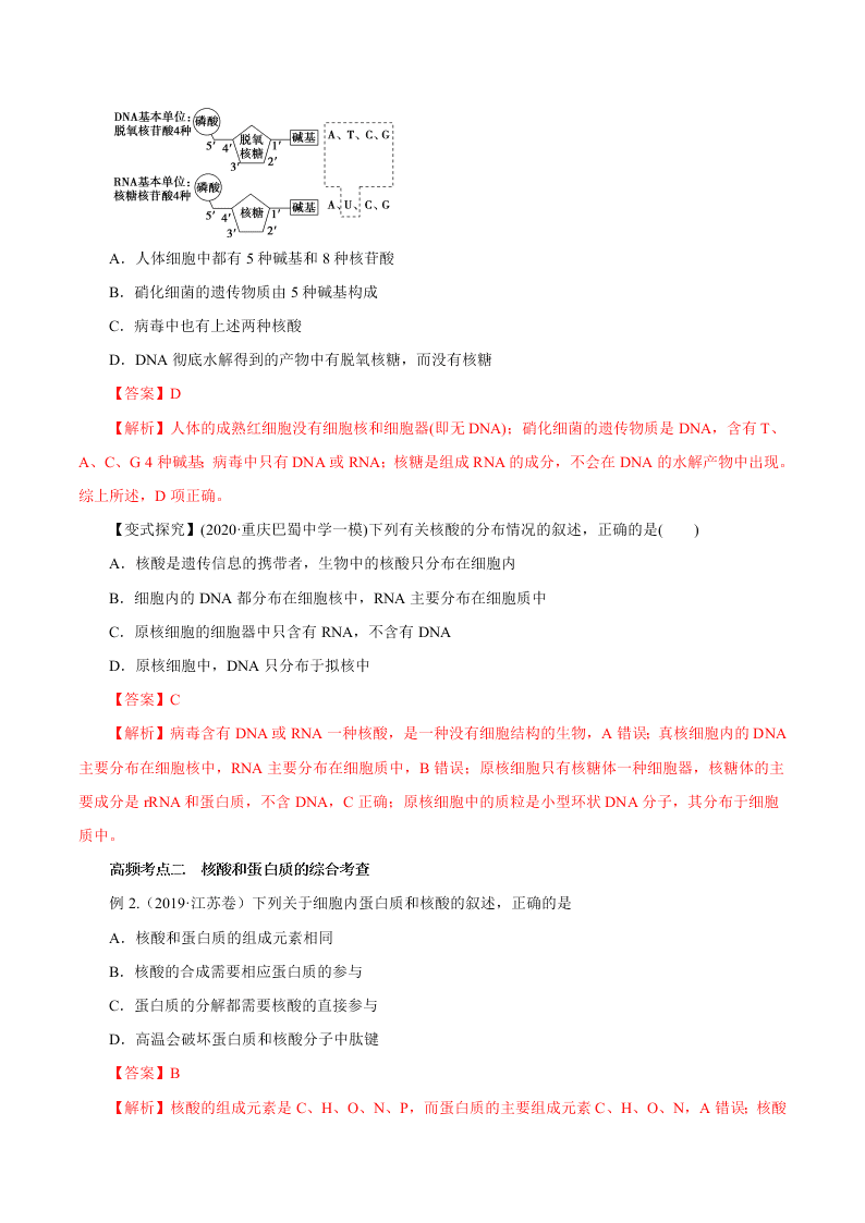 2020-2021年高考生物一轮复习知识点讲解专题1-4 核酸、糖类和脂质