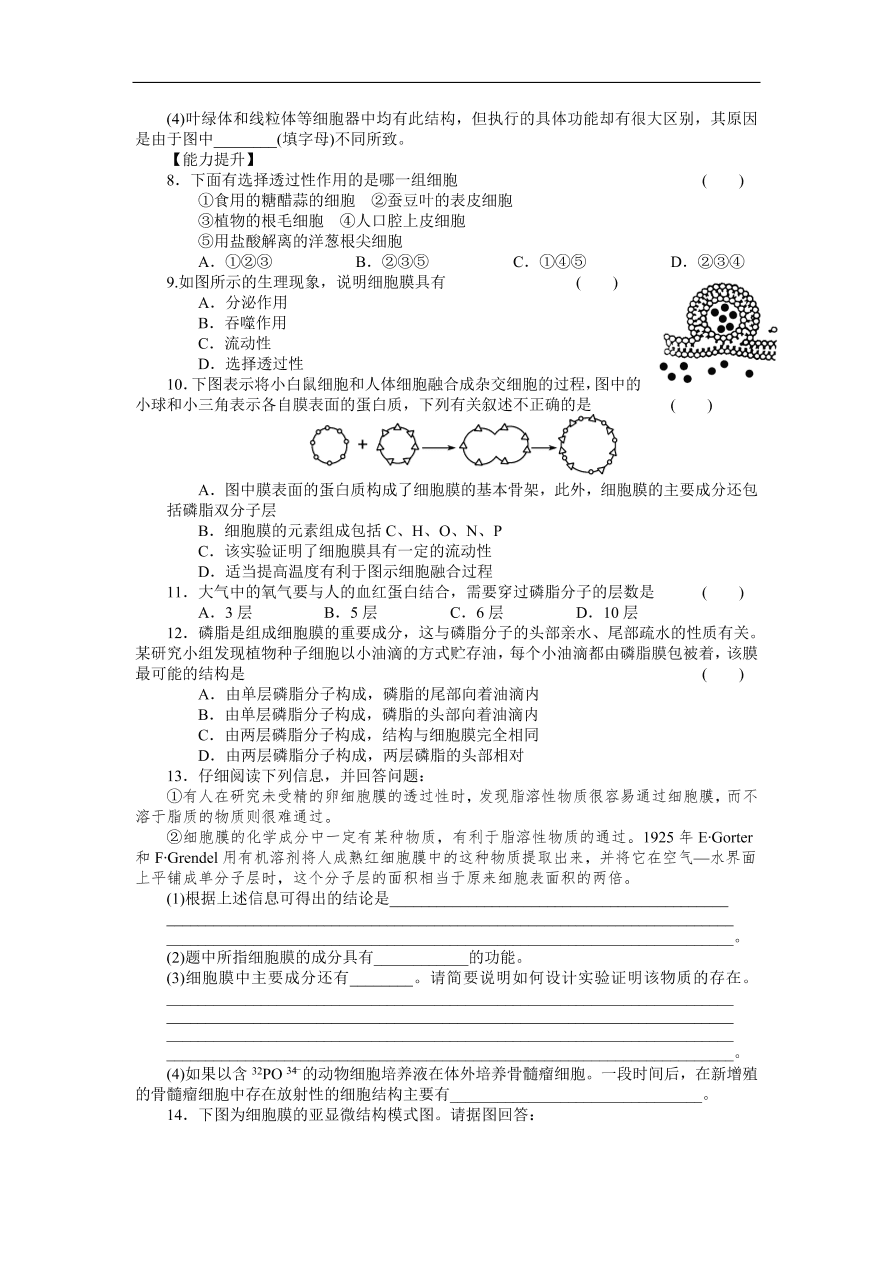 人教版高一生物上册必修1《4.2生物膜的流动镶嵌模型》同步练习及答案