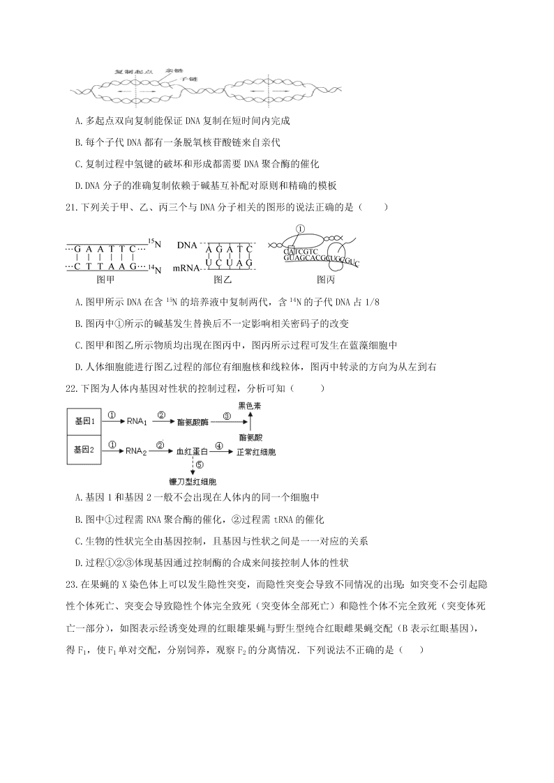 山东省济南市历城二中2020-2021高二生物上学期开学试题（Word版附答案）