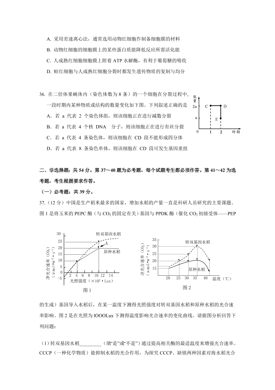 江西省南昌市第二中学2021届高三生物上学期第四次考试试题（Word版附答案）