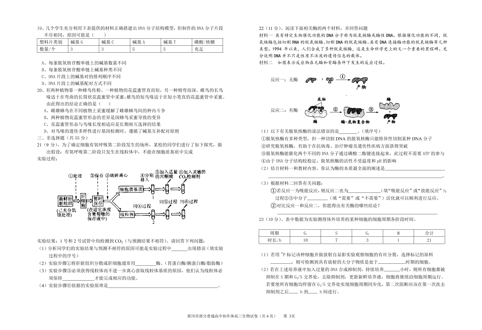 湖北省黄冈市部分普通高中2021届高三生物12月联考试卷（附答案Word版）