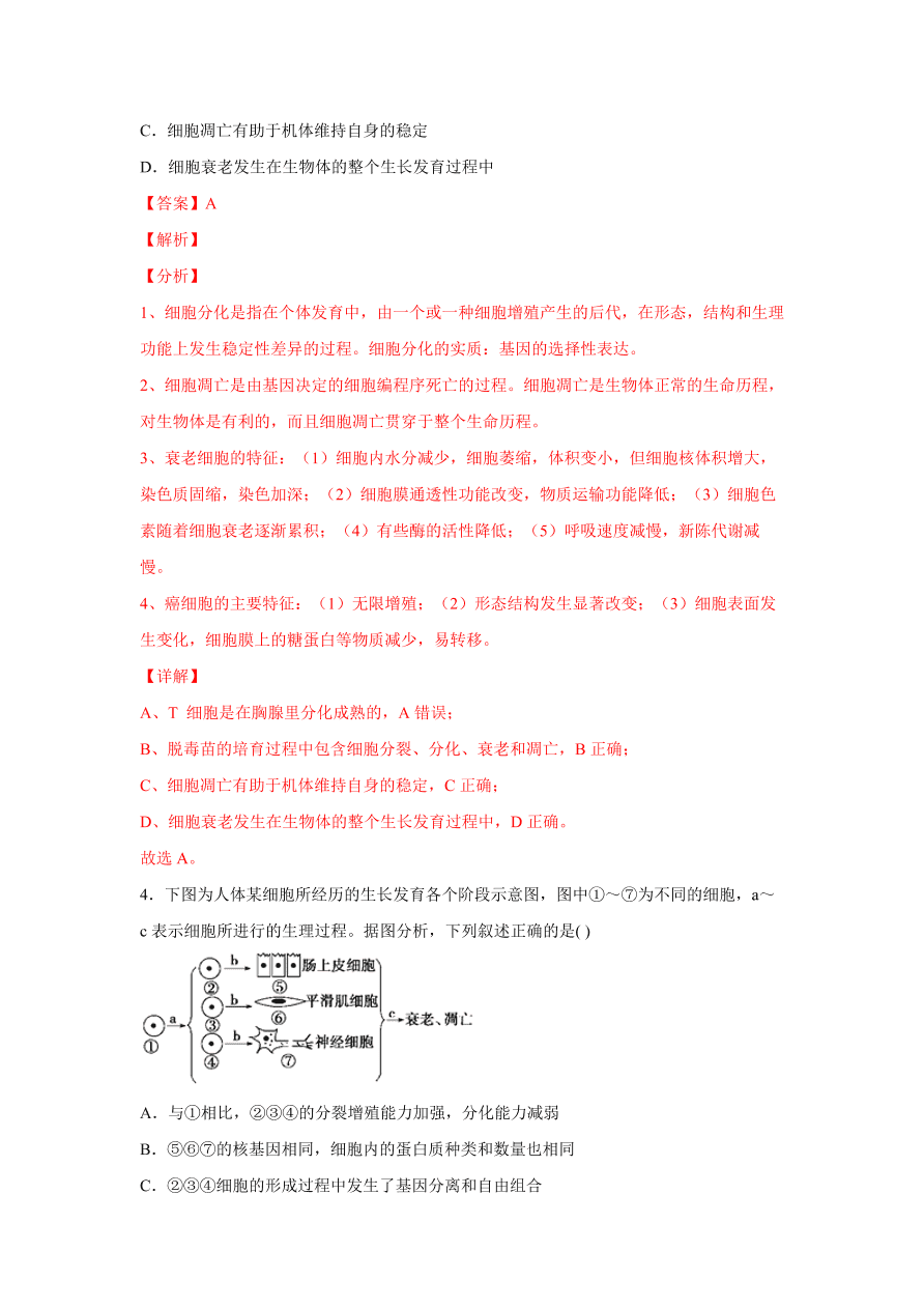 2020-2021学年高三生物一轮复习易错题04 细胞的生命历程