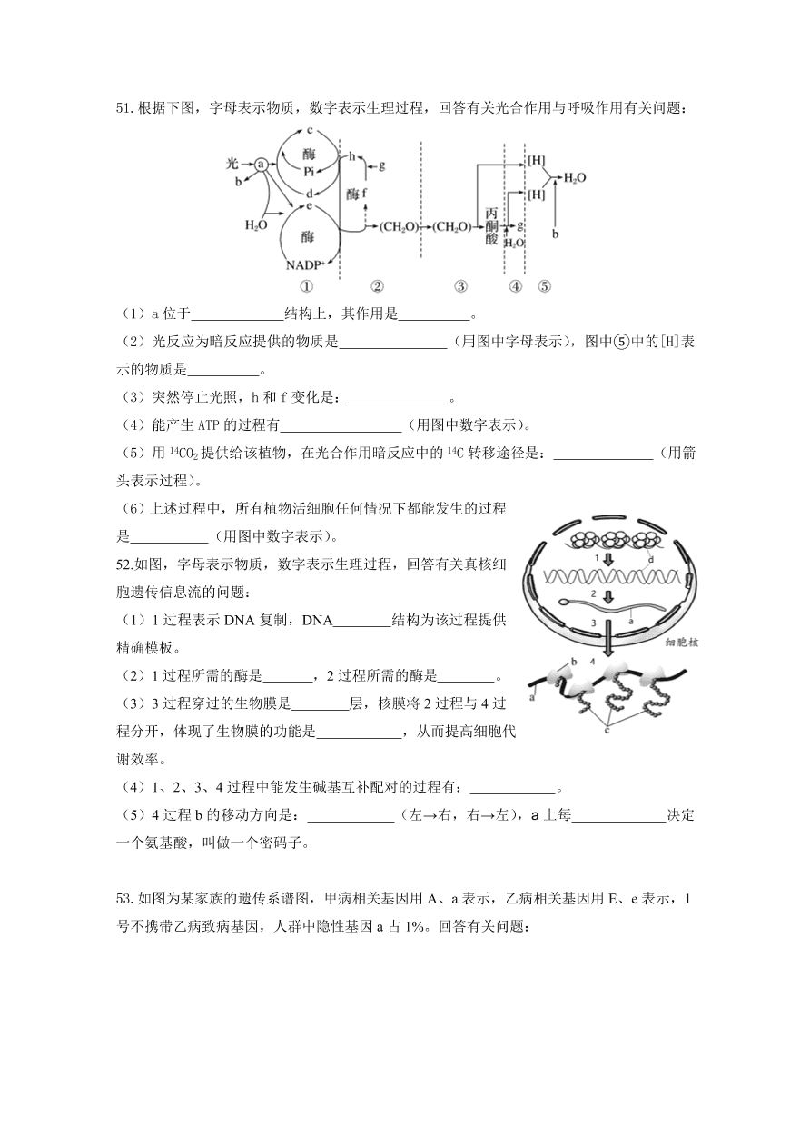 黑龍江省哈爾濱市第六中學2021屆高三生物上學期期中試題（Word版含答案）