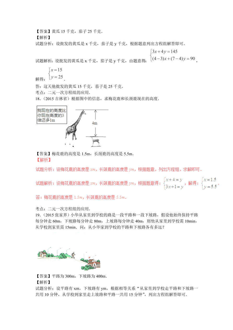 九年级数学中考复习专题：二元一次方程（组）练习及解析