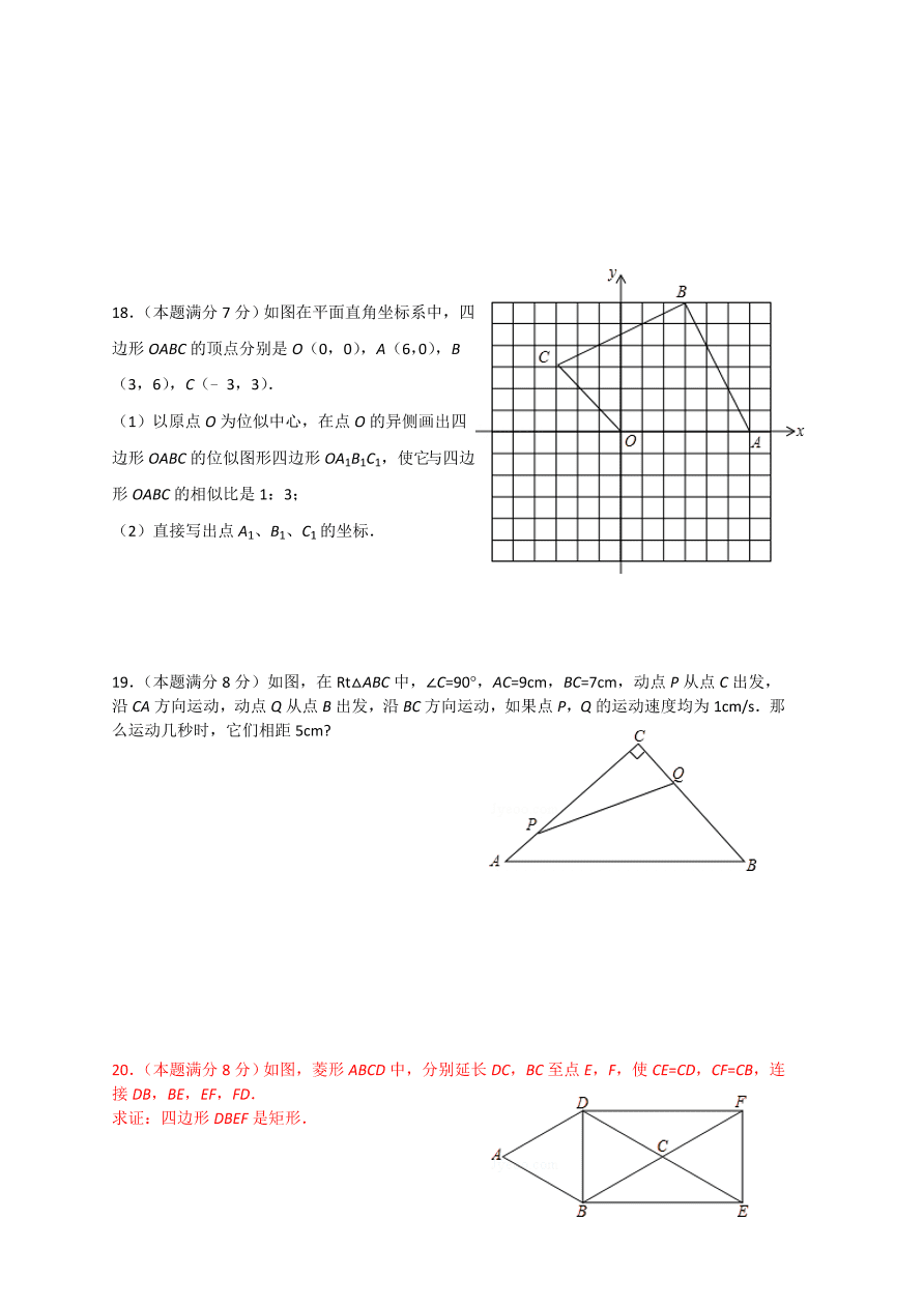 寿宁县九年级数学上册期中测试卷及参考答案