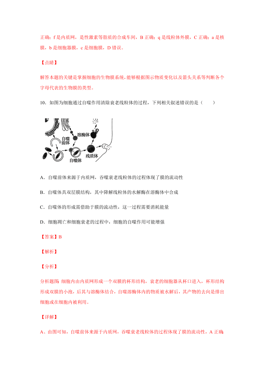 2020-2021学年高三生物一轮复习易错题02 细胞的结构和功能