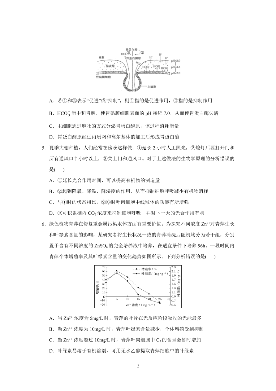 河北省实验中学2021届高三生物上学期期中试题（附答案Word版）