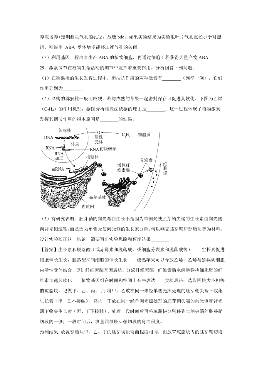 2020-2021学年高考生物精选考点突破专题13 植物的激素调节