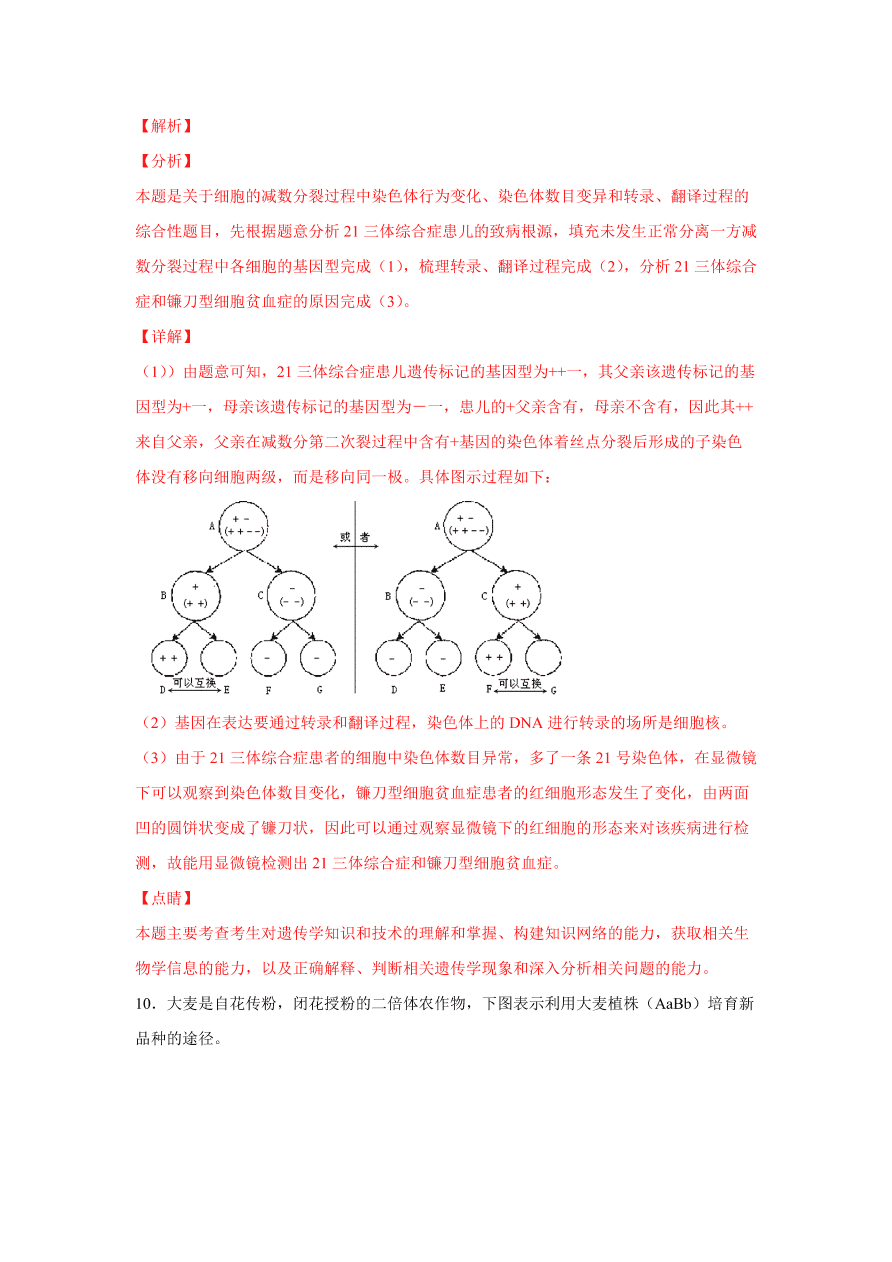 2020-2021学年高三生物一轮复习易错题08 生物的变异与育种