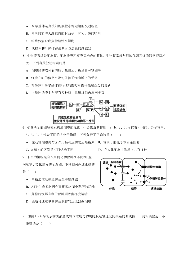 江西省奉新县第一中学2020-2021学年高二上学期月考生物试题（含答案）