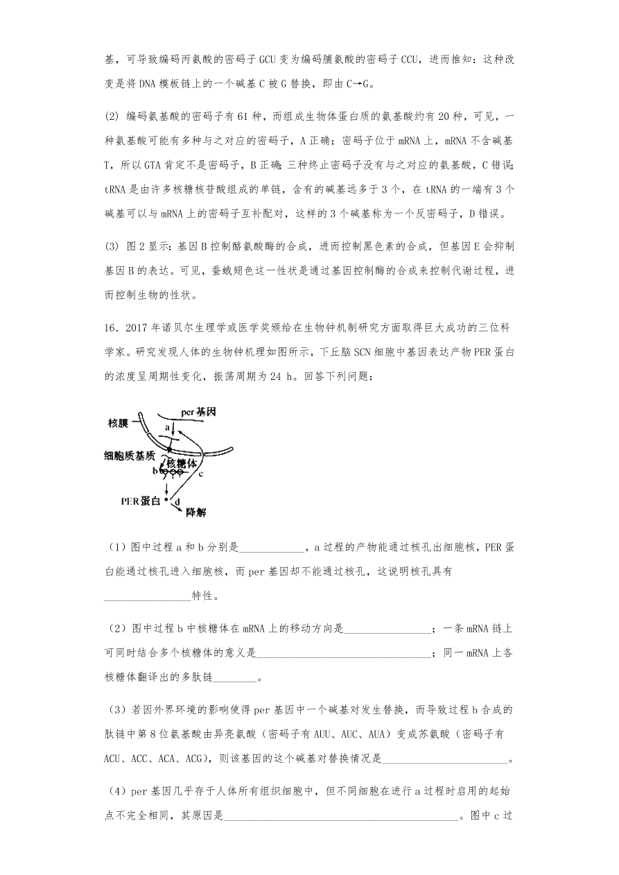 人教版高三生物下册期末考点复习题及解析：DNA是主要的遗传物质、结构、复制和基因的表达