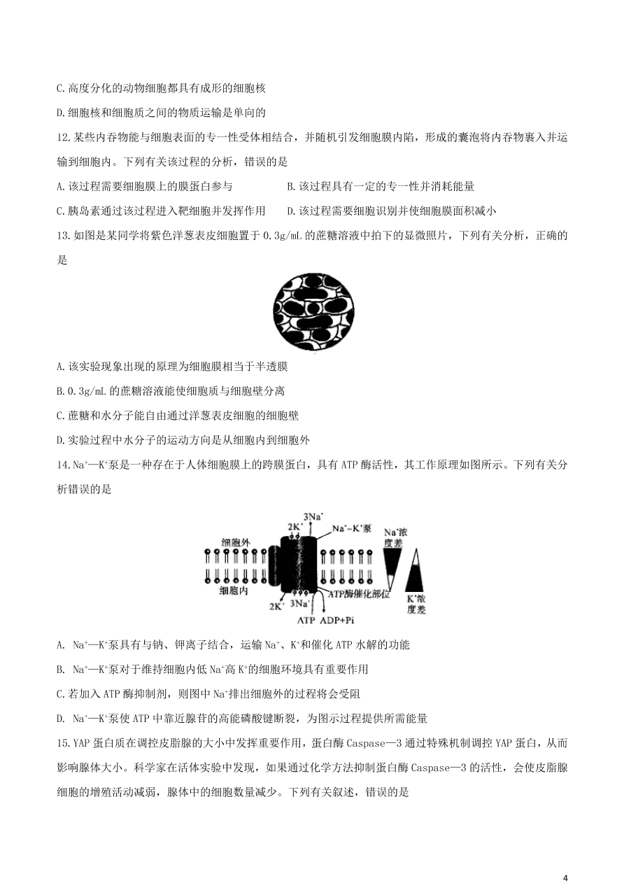 河南省平顶山市2021届高三生物10月阶段测试试题