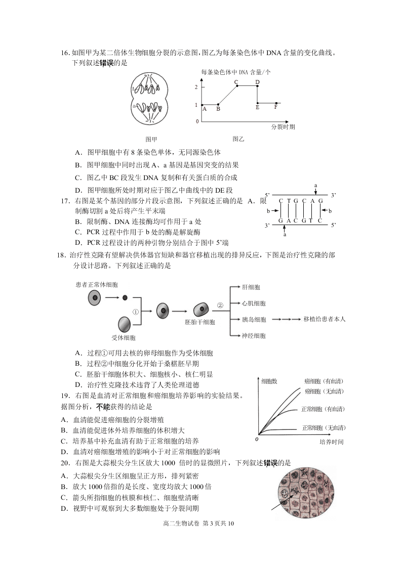 2020年第二学期南京市第二十九中学高二生物试卷（word版无答案）   