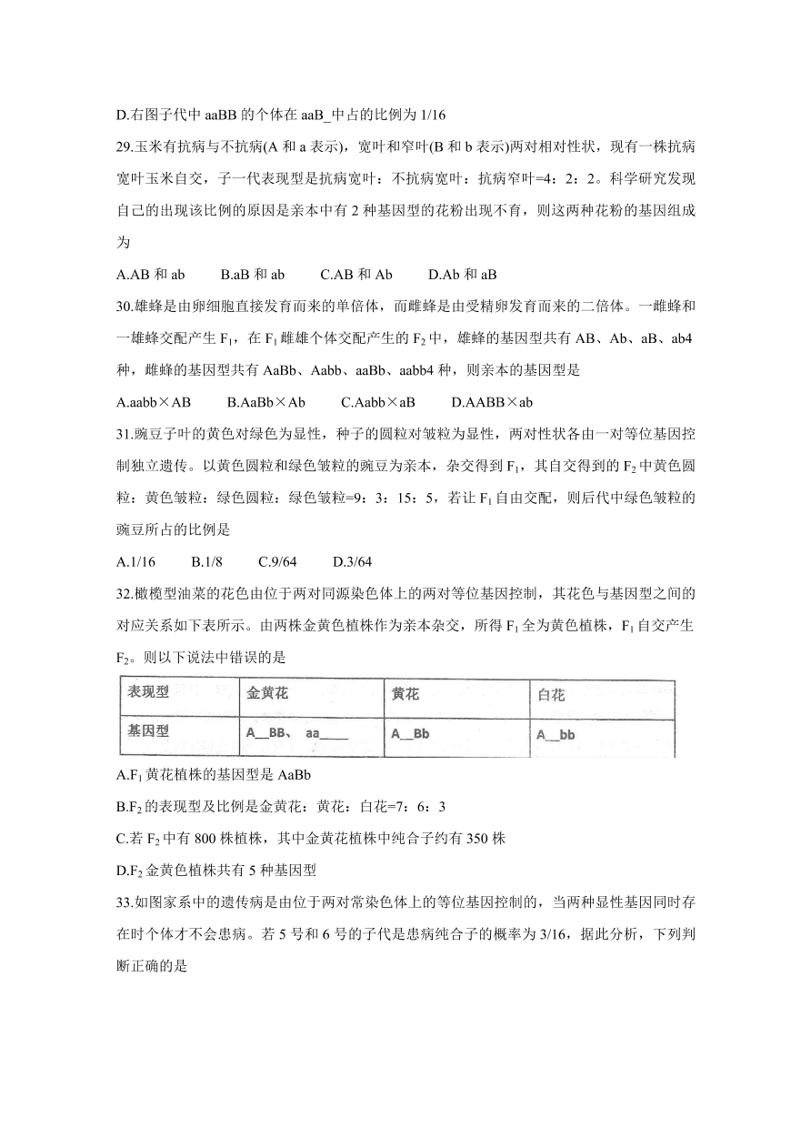 河北省衡水中学2021届高三生物上学期期中试题（Word版附答案）