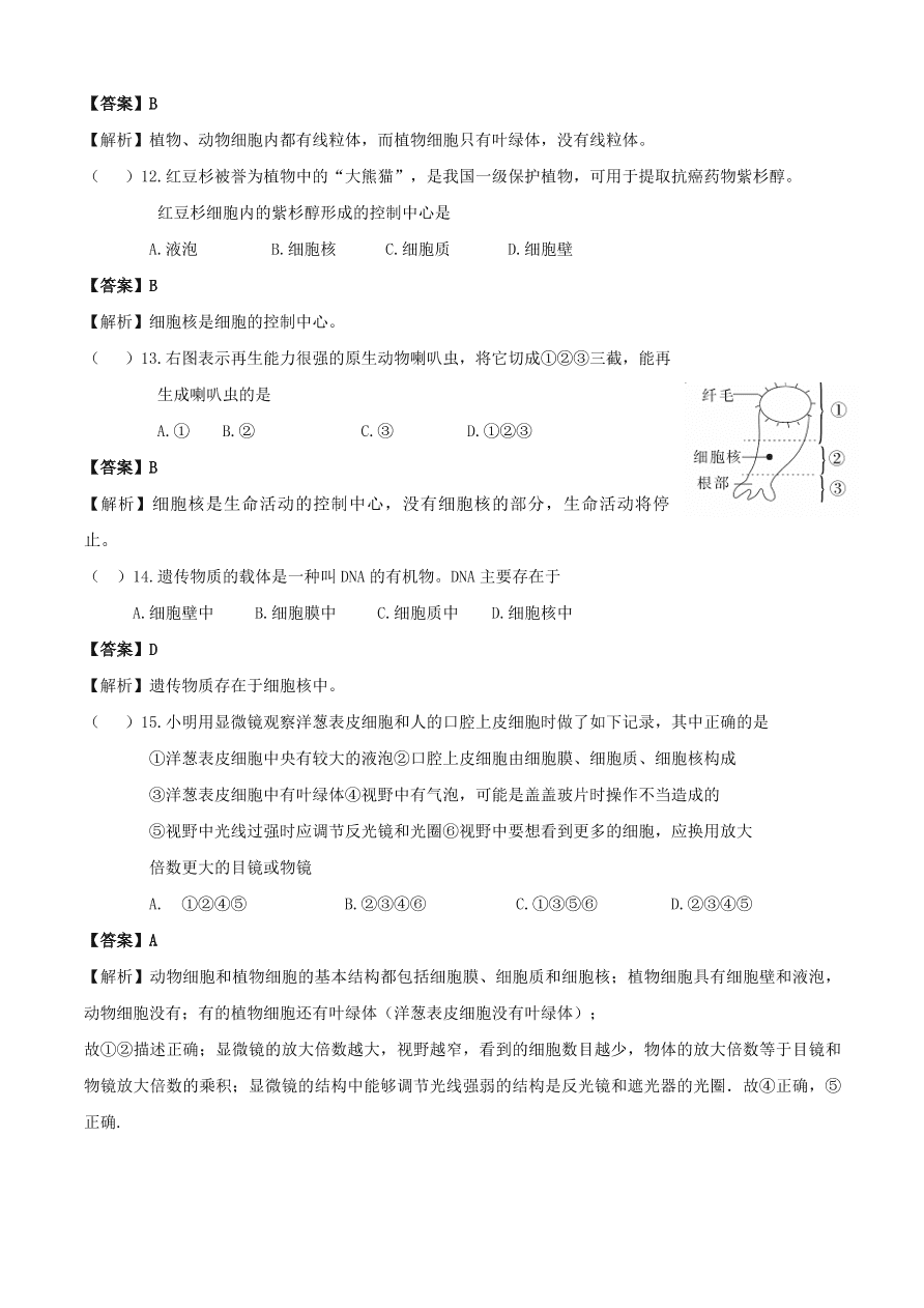 2020学年初一生物上册知识梳理及训练：细胞是生命活动的基本单位