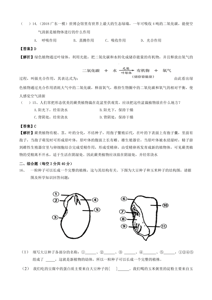 2020学年初一生物上册知识梳理及训练：生物圈中有哪些绿色植物