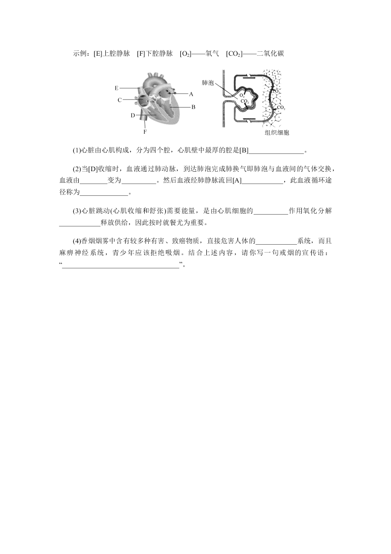 2019-2020年人教版七年级下生物期中考（答案）