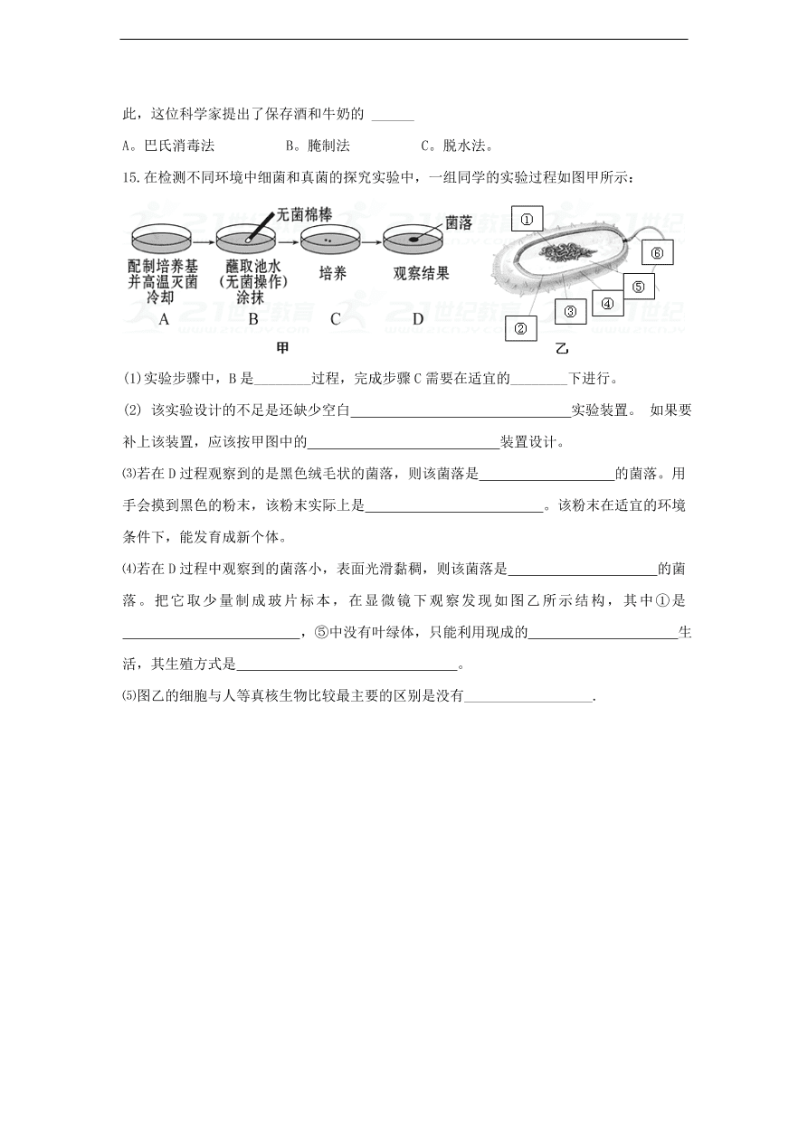 人教版八年级生物上册《细菌》同步练习及答案