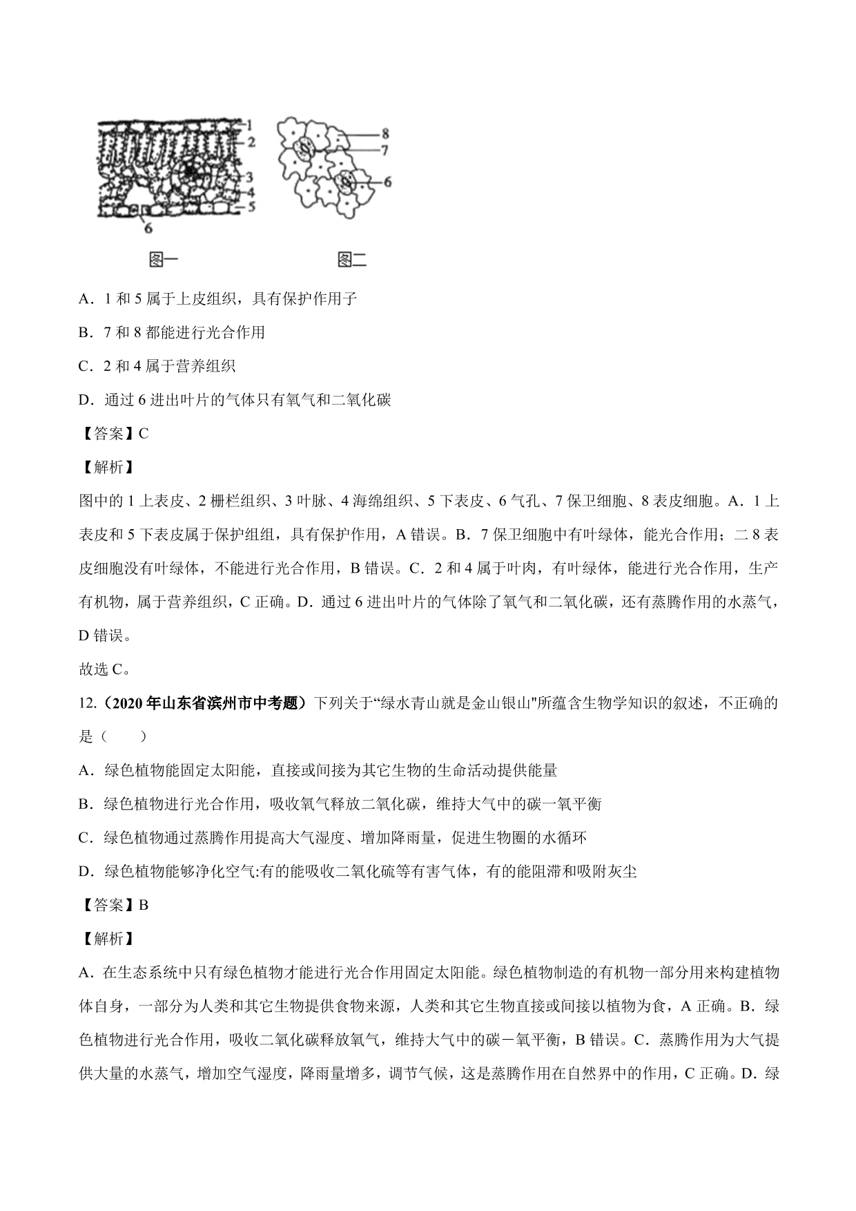 2020-2021学年中考生物真题汇编及答案：绿色植物的蒸腾作用、光合作用和呼吸作用