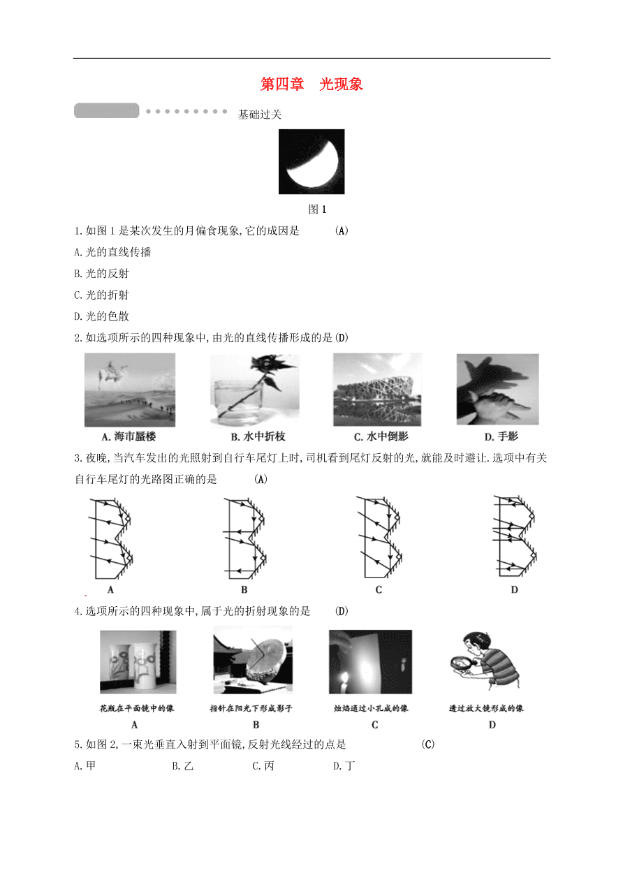  新人教版九年级中考物理  第四章 光现象复习测试