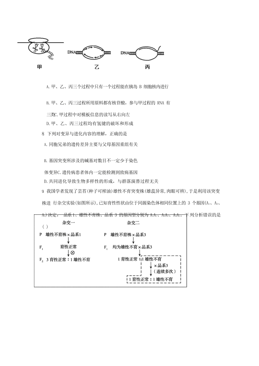 山东省日照市第一中学2020届高三生物上学期期中试题（Word版附答案）