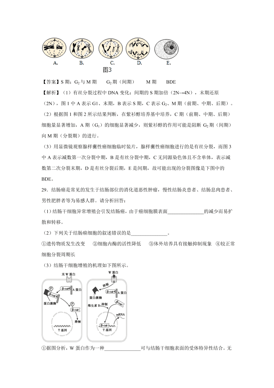 2020-2021学年高考生物精选考点突破专题06 细胞的增殖、分化、衰老、凋亡和癌变