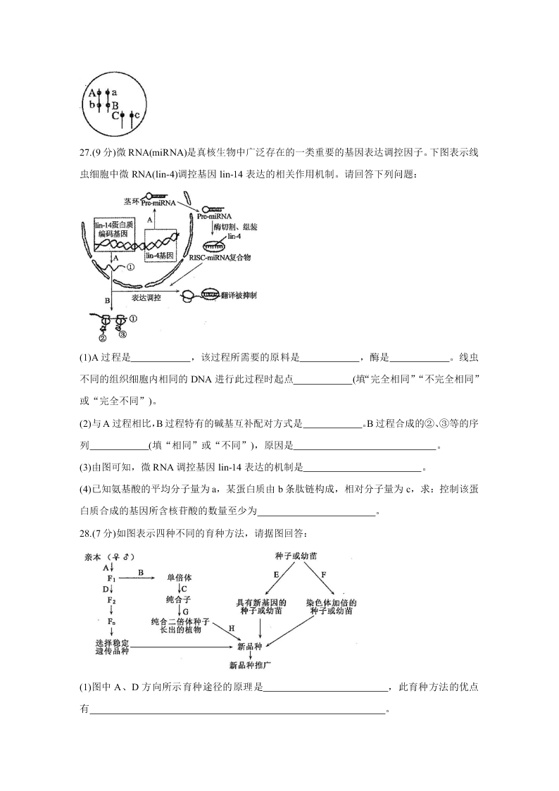 山东省聊城市九校2020-2021高二生物上学期第一次开学联考试题（Word版附答案）