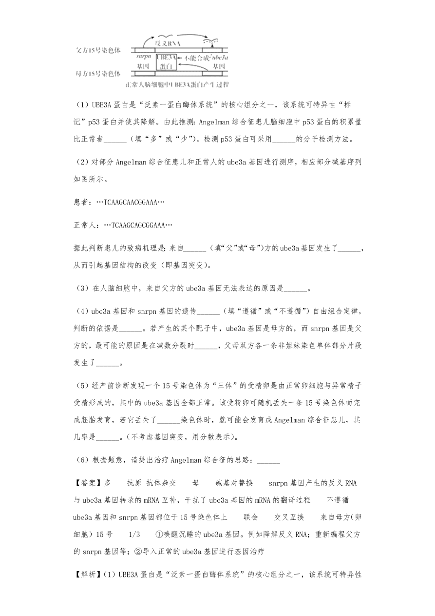 人教版高三生物下册期末考点复习题及解析：DNA是主要的遗传物质、结构、复制和基因的表达