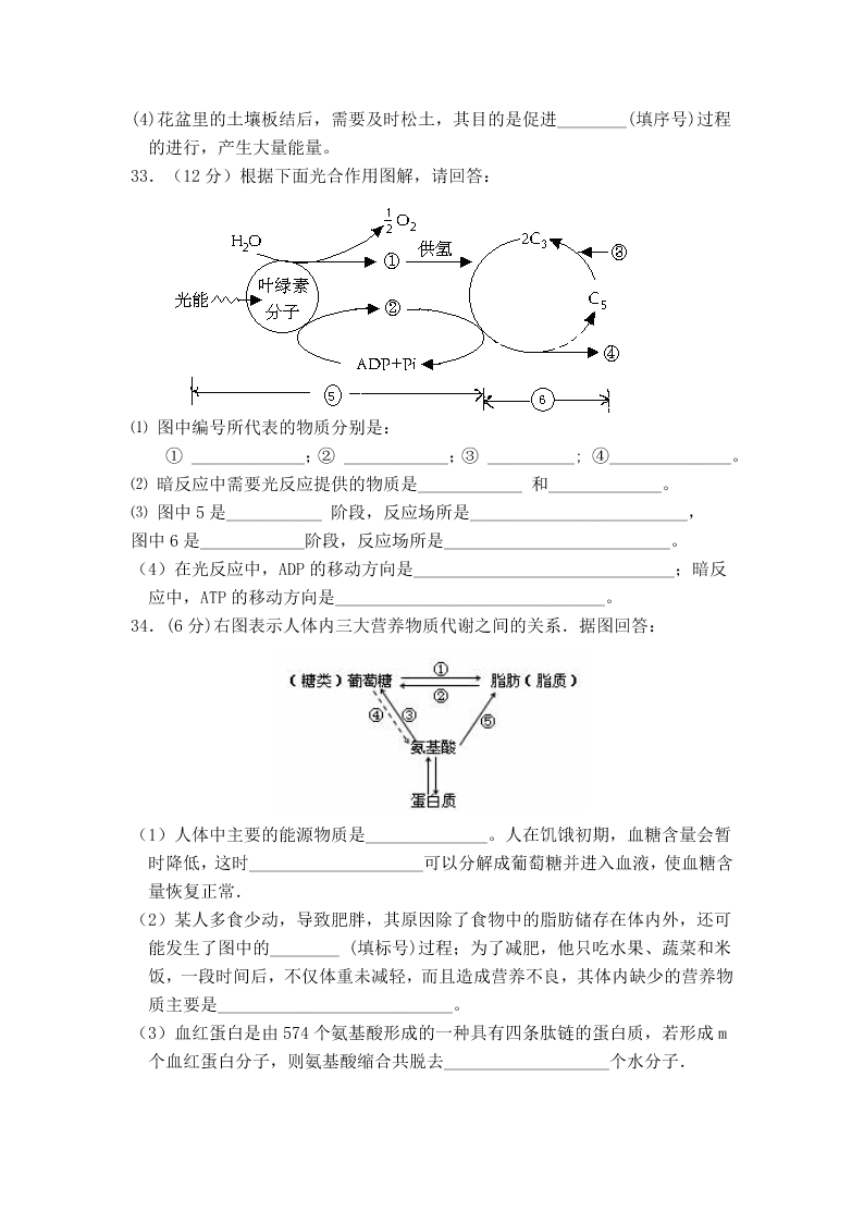 2020届甘肃省庆阳市宁县第二中学高二下生物期中考试试题（无答案）