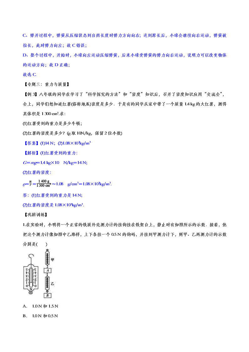 2020人教版初二物理重点知识专题训练：力