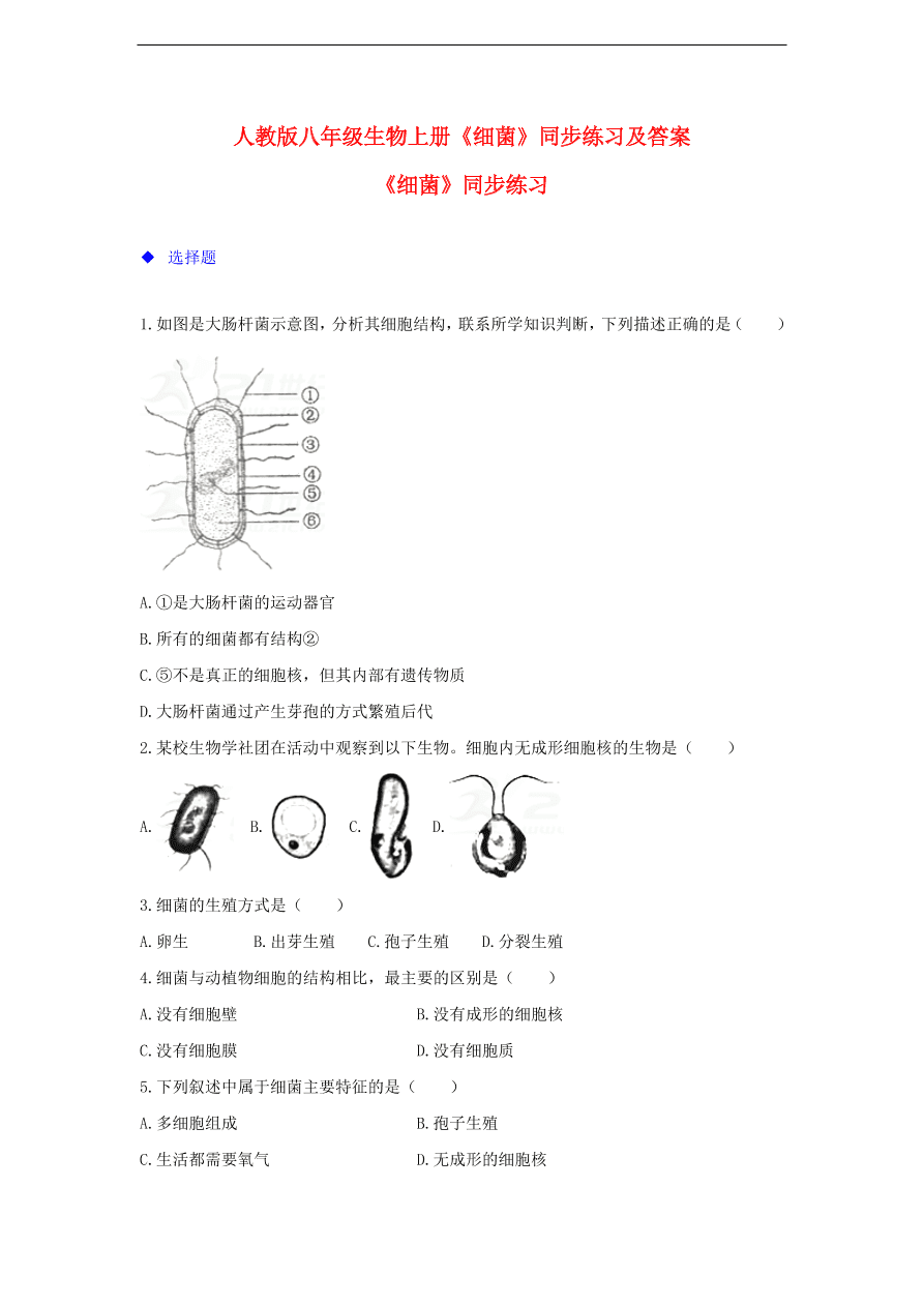 人教版八年级生物上册《细菌》同步练习及答案