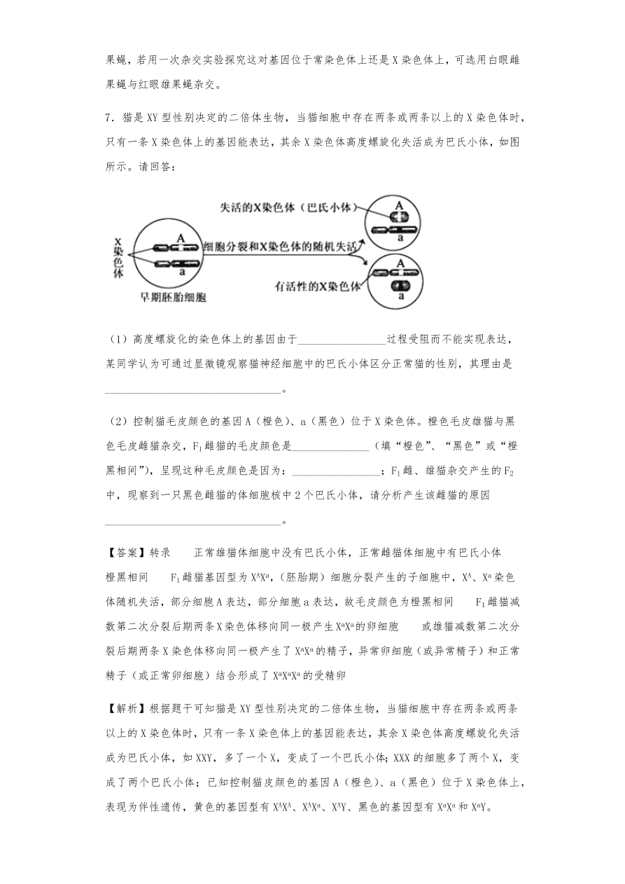 人教版高三生物下册期末考点复习题及解析：基因在染色体上和伴性遗传、人类遗传病