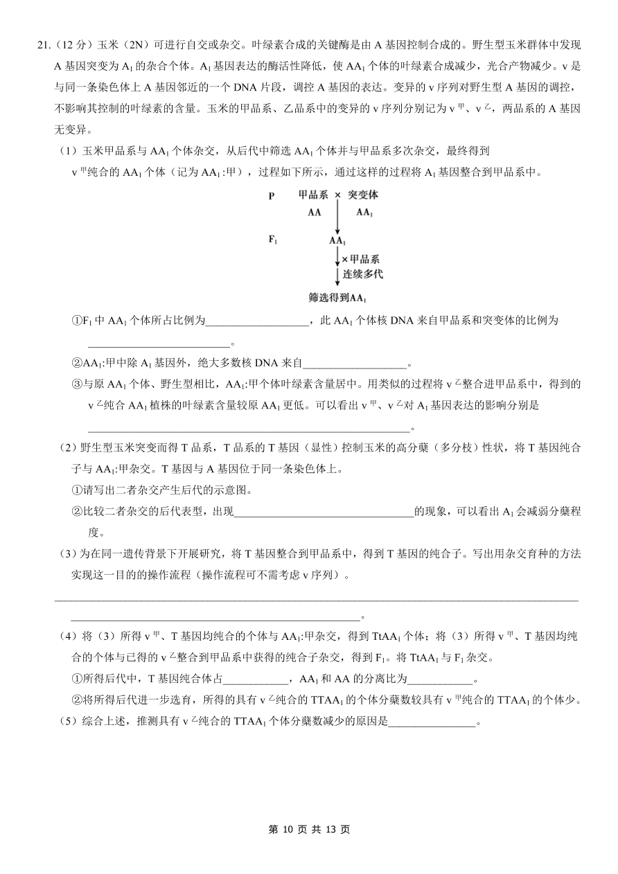 北京市朝阳区2021届高三生物上学期期中试题（Word版附答案）