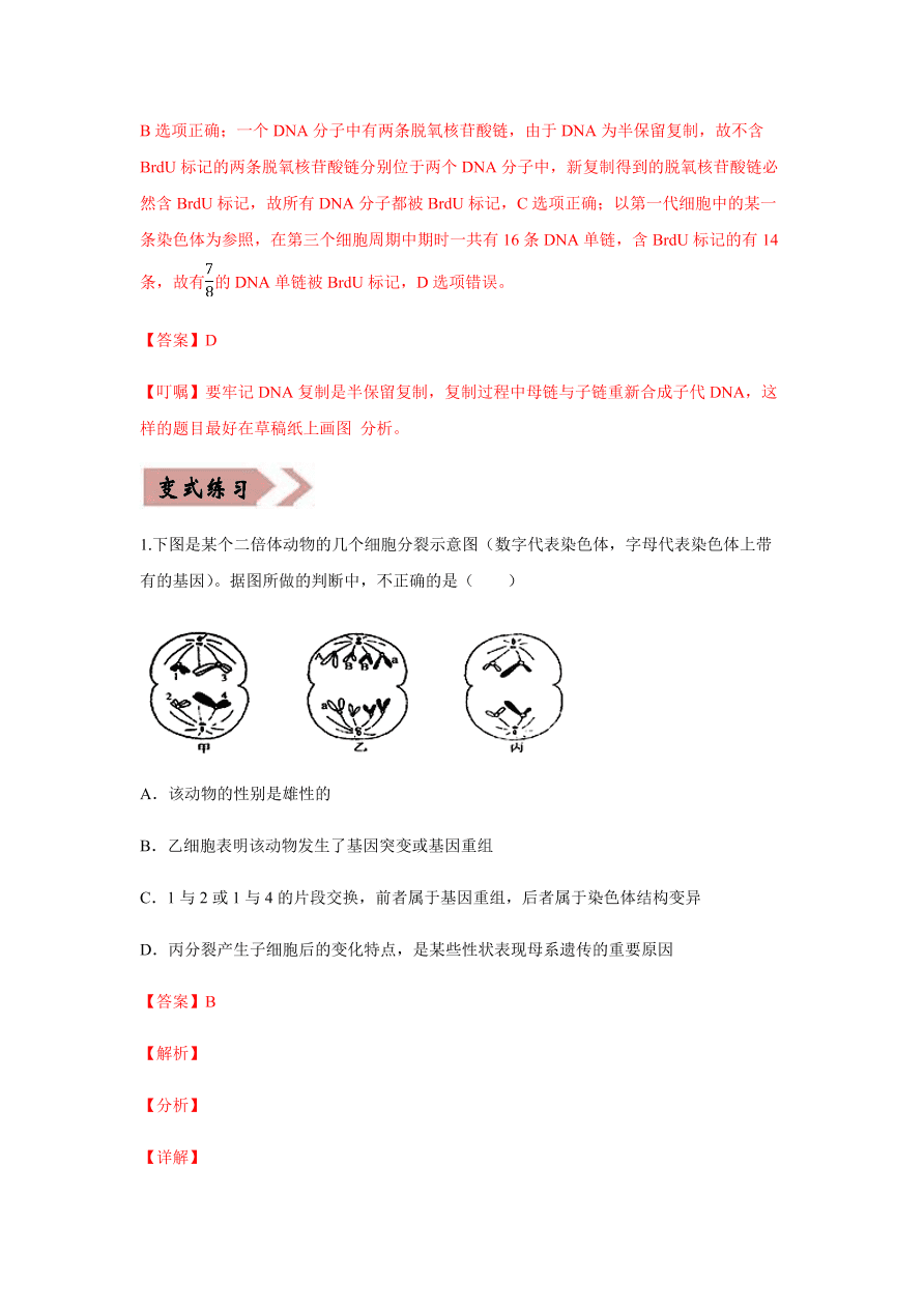 2020-2021学年高三生物一轮复习易错题05 遗传的细胞基础
