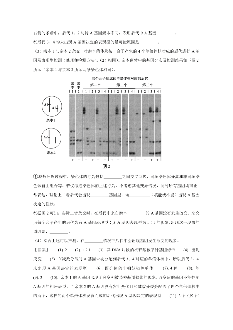 北京市朝阳区2020届高三生物二模试题（Word版附解析）