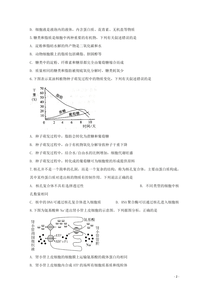 安徽省肥东县高级中学2021届高三生物上学期第二次月考试题（含答案）