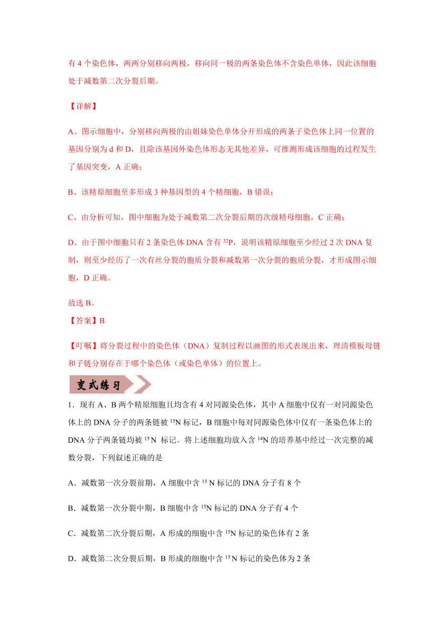 2020-2021学年高三生物一轮复习易错题05 遗传的细胞基础