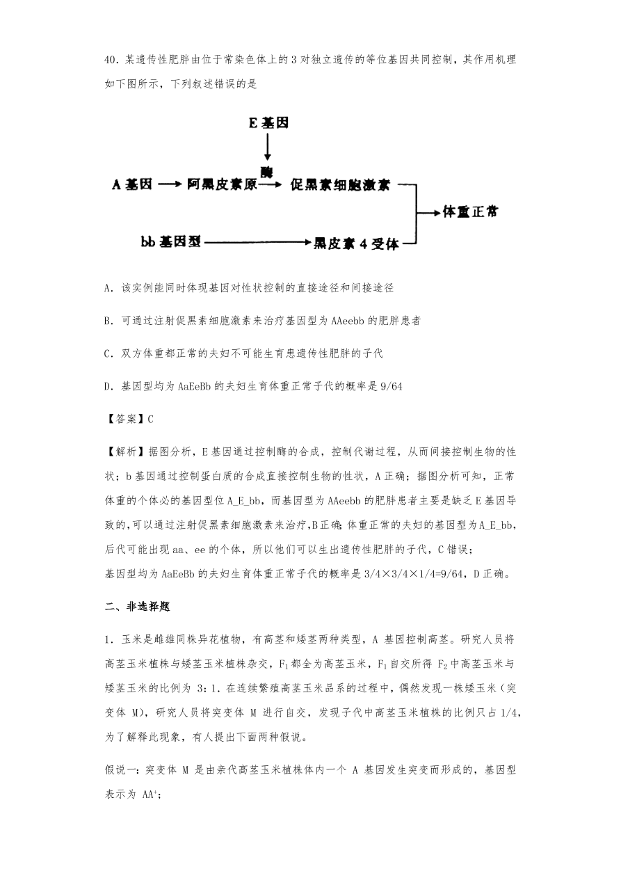 人教版高三生物下册期末考点复习题及解析：遗传的分离定律与自由组合定律