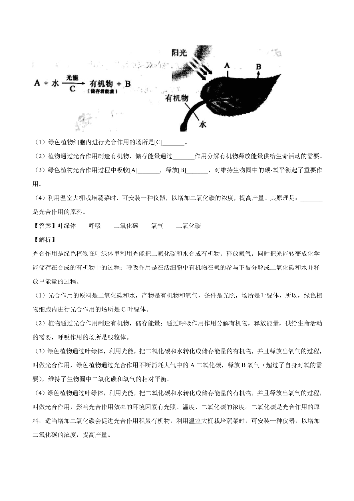 2020-2021学年中考生物真题汇编及答案：绿色植物的蒸腾作用、光合作用和呼吸作用