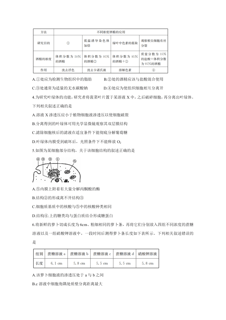 河南省2021届高三生物10月联考试题（Word版附答案）