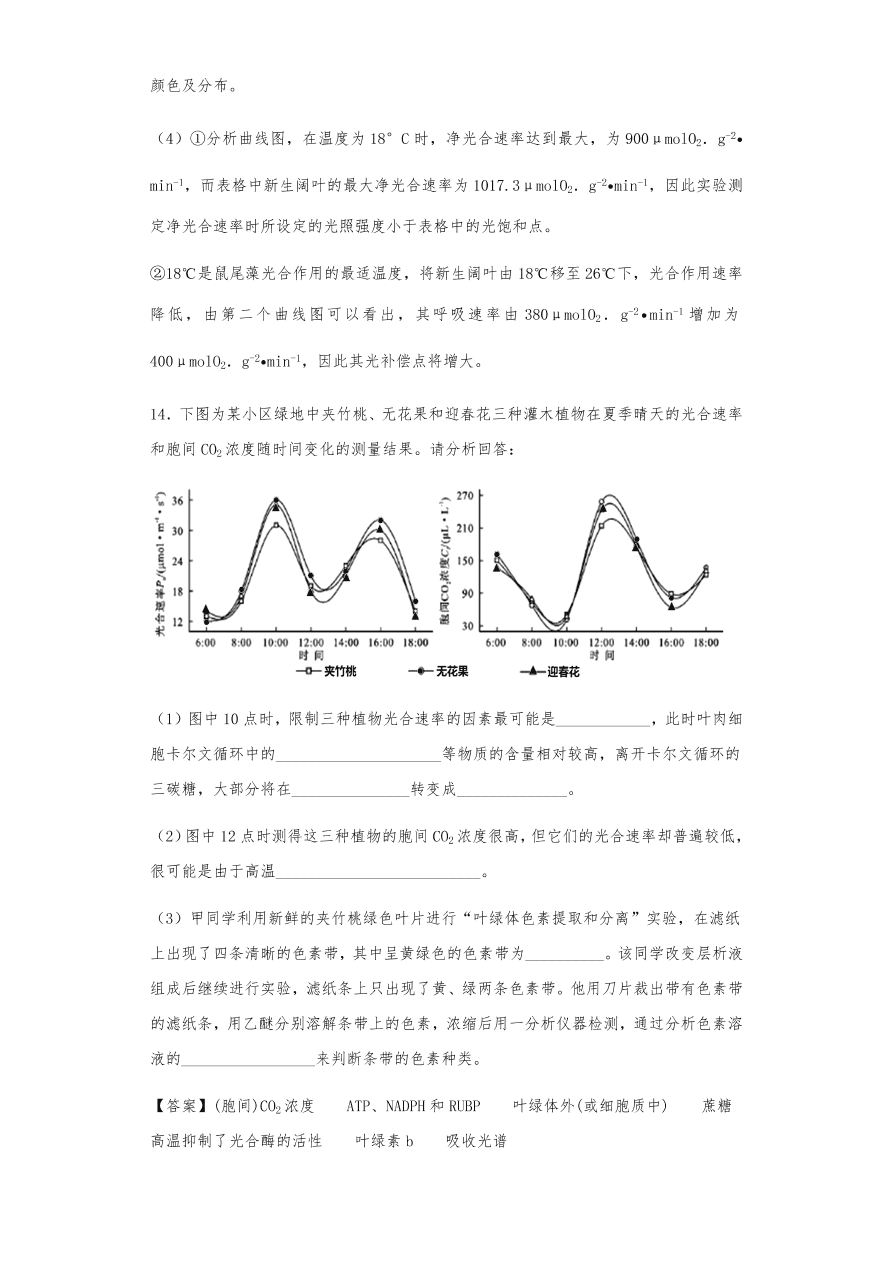 人教版高三生物下册期末考点复习题及解析：呼吸作用与光合作用