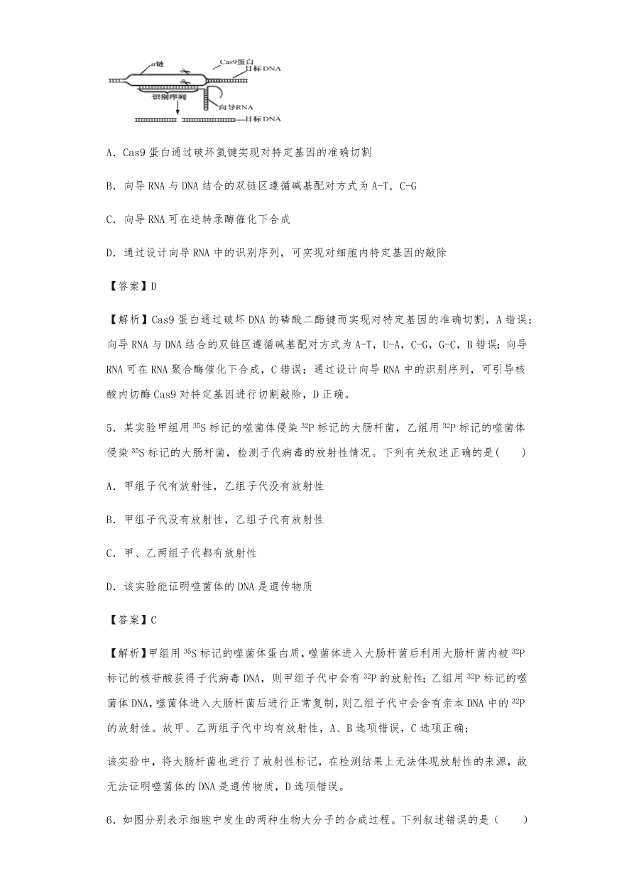 人教版高三生物下册期末考点复习题及解析：DNA是主要的遗传物质、结构、复制和基因的表达