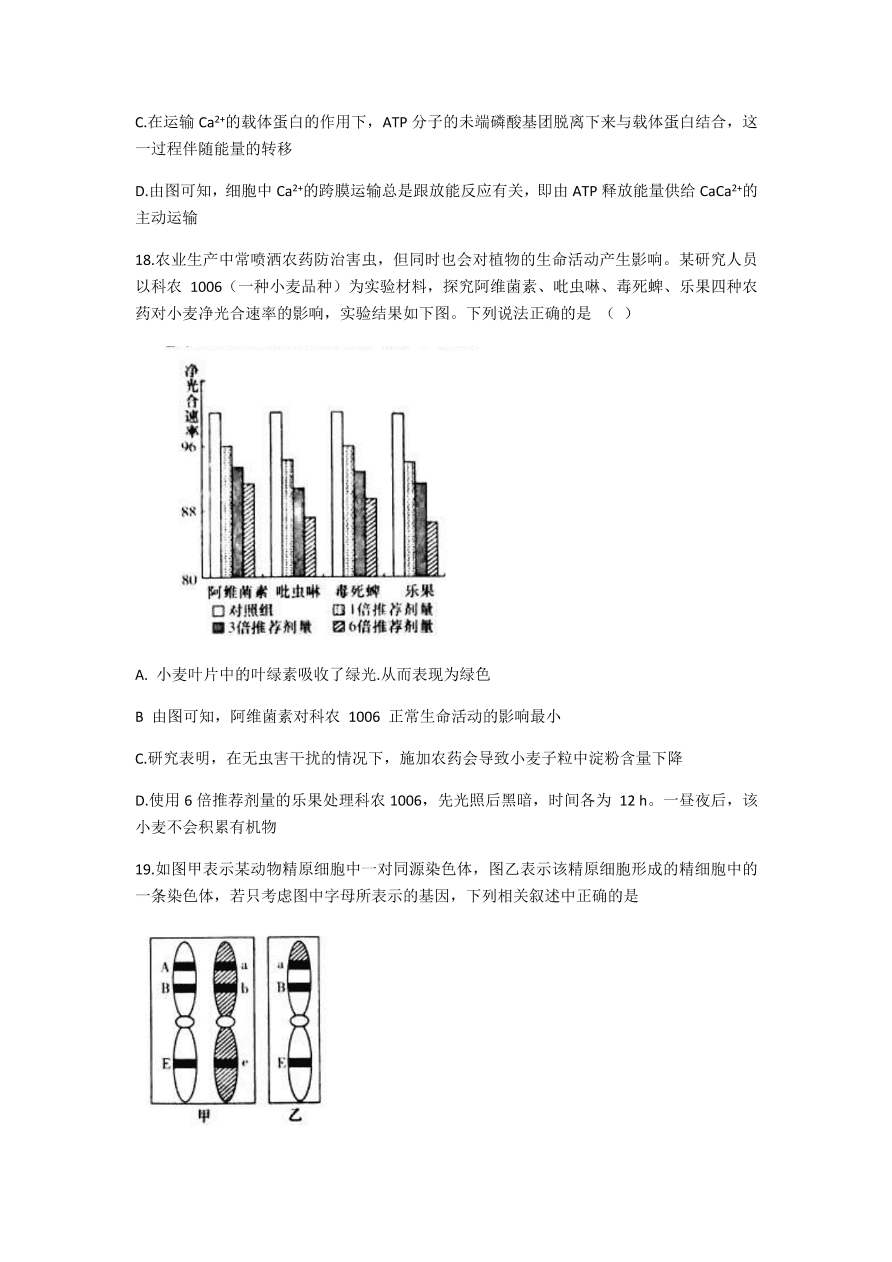 湖南名校联考联合体2021届高三生物12月联考试题（附答案Word版）